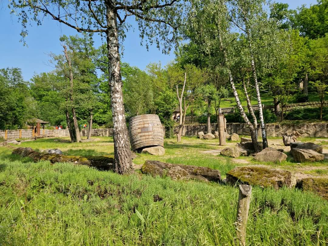 New Malayan Tapir exhibit