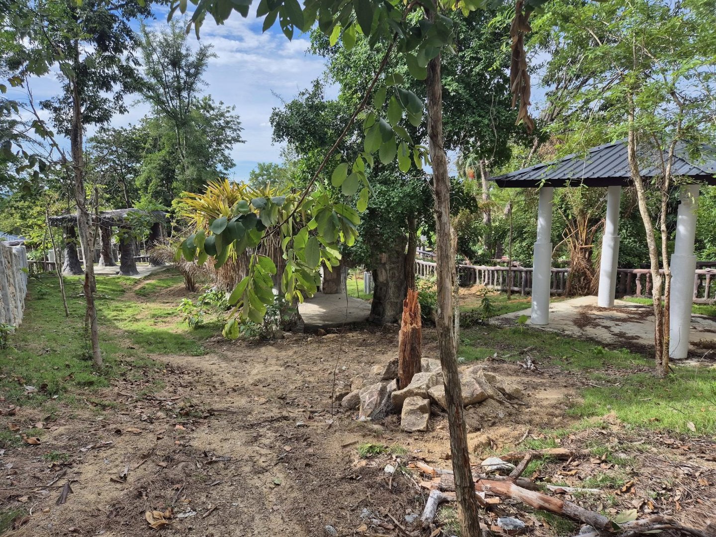 New Malayan Tapir exhibit