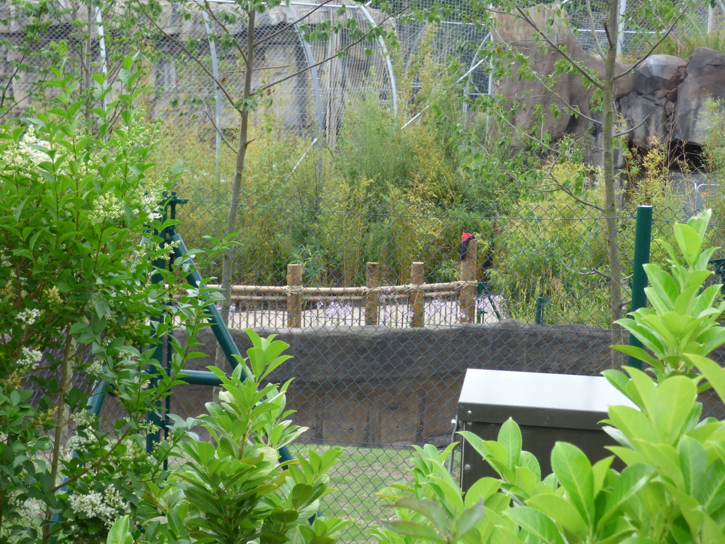 New Malayan Tapir Viewing Area