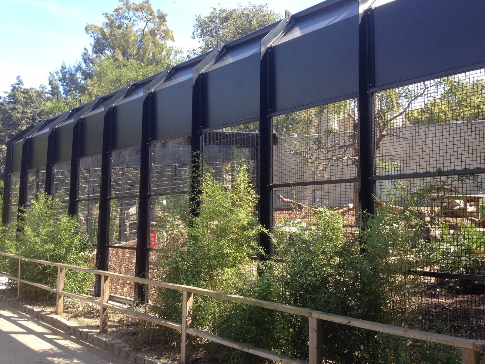 New Mandrill exhibit