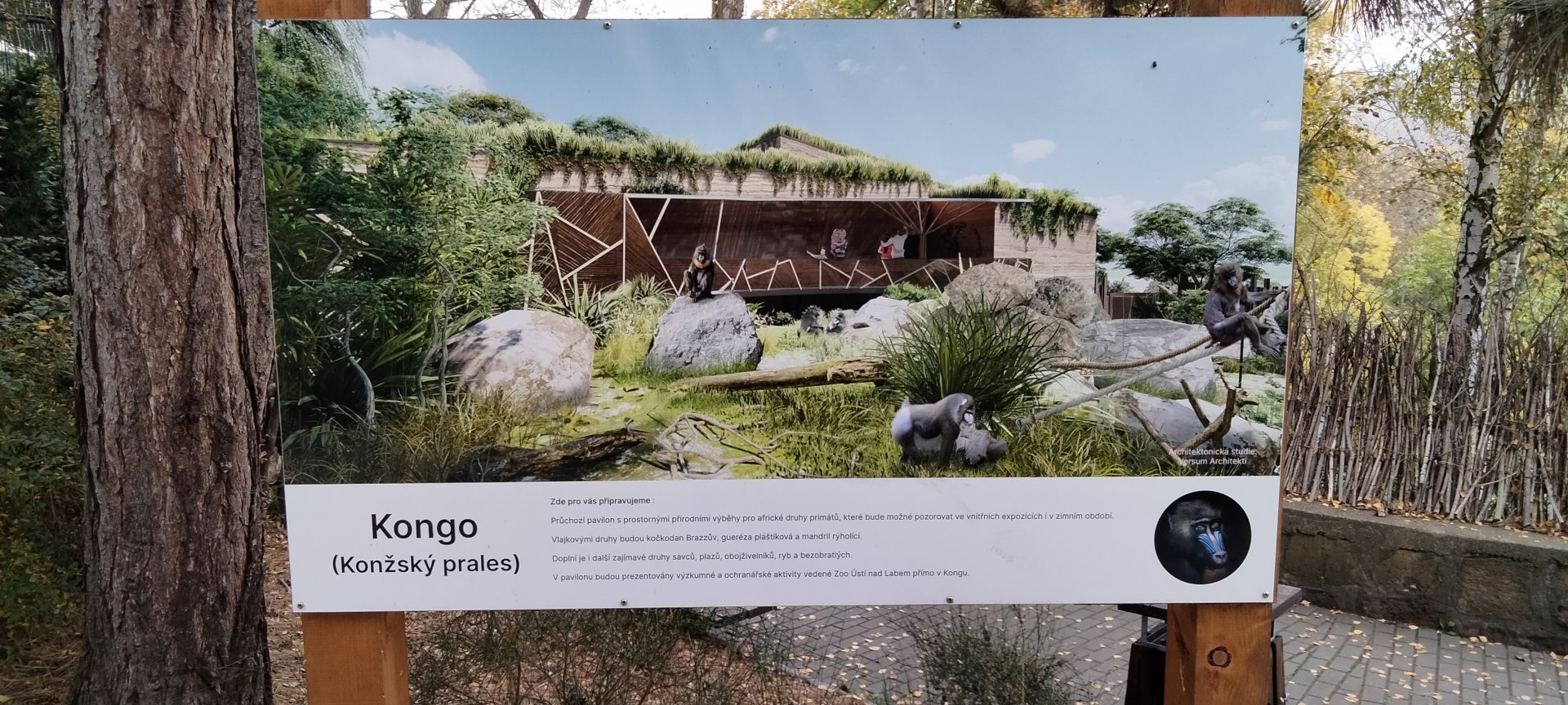 New Mandrill habitat plan