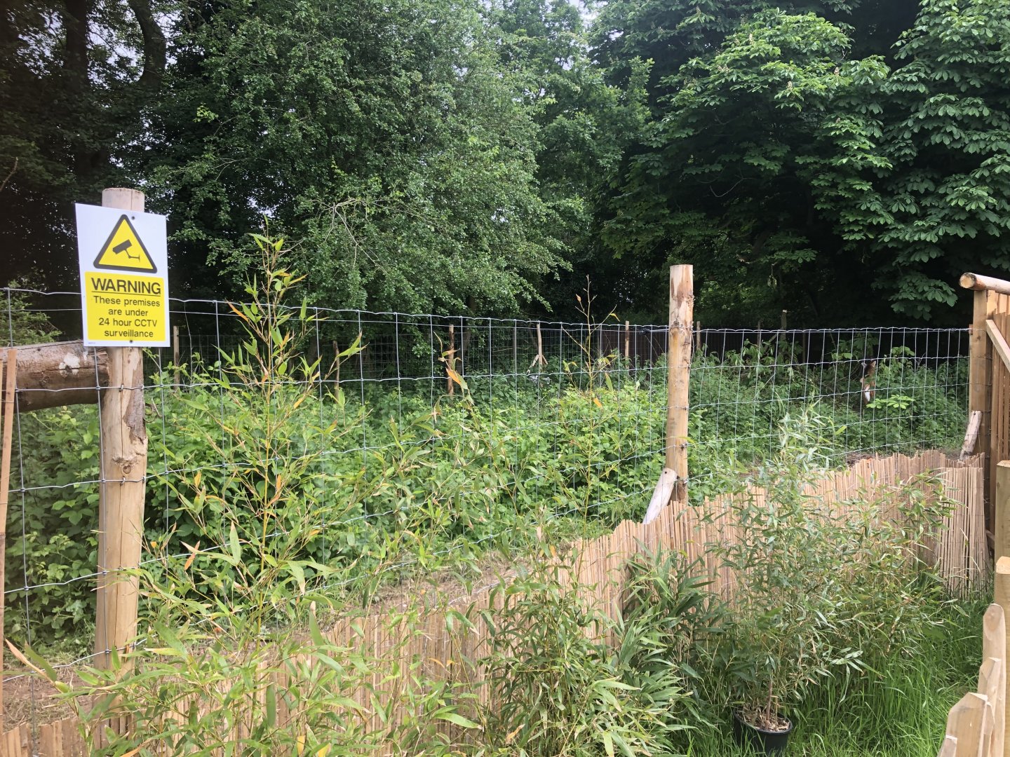 New Maned Wolf Enclosure