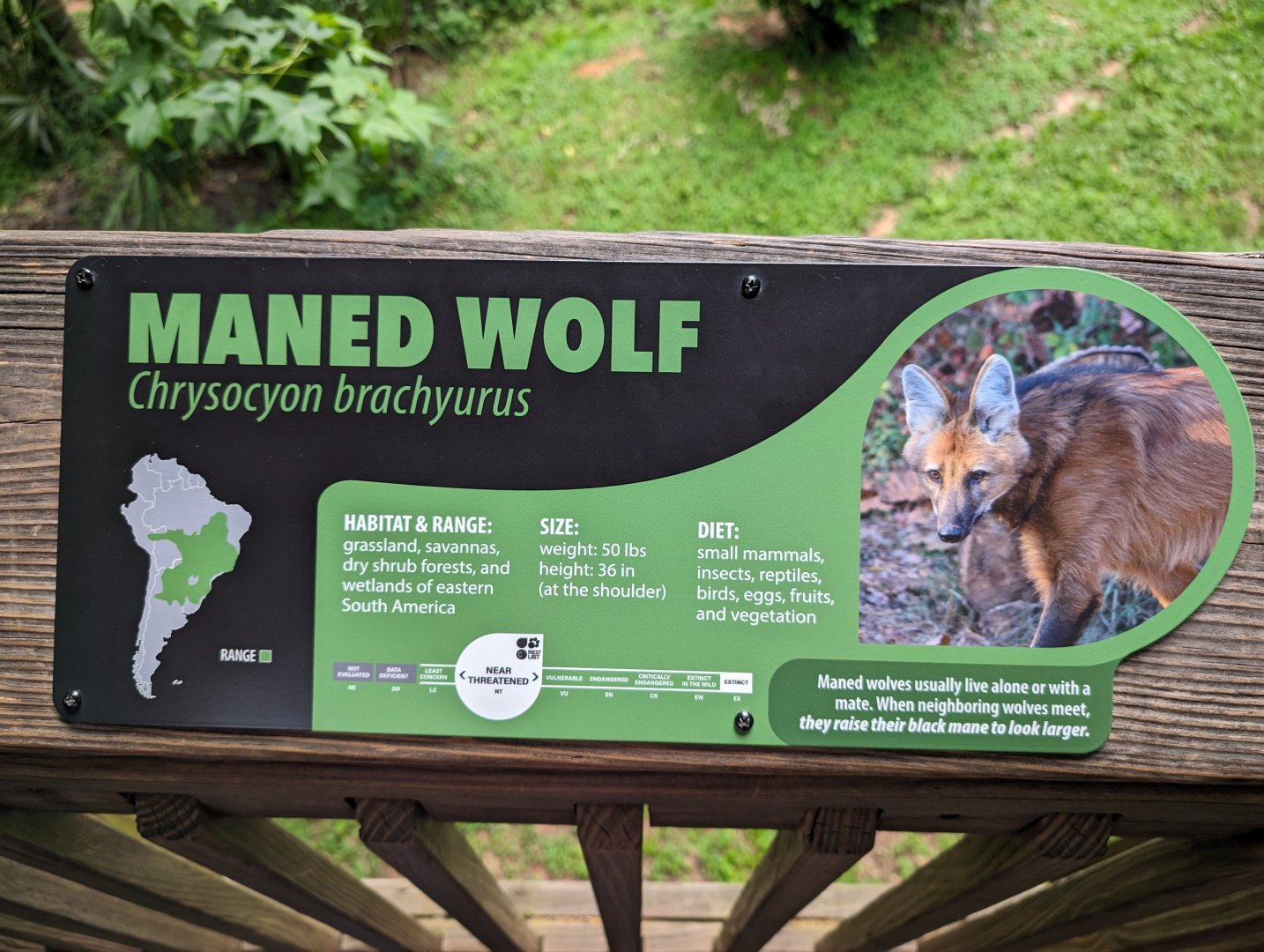 New Maned Wolf signage