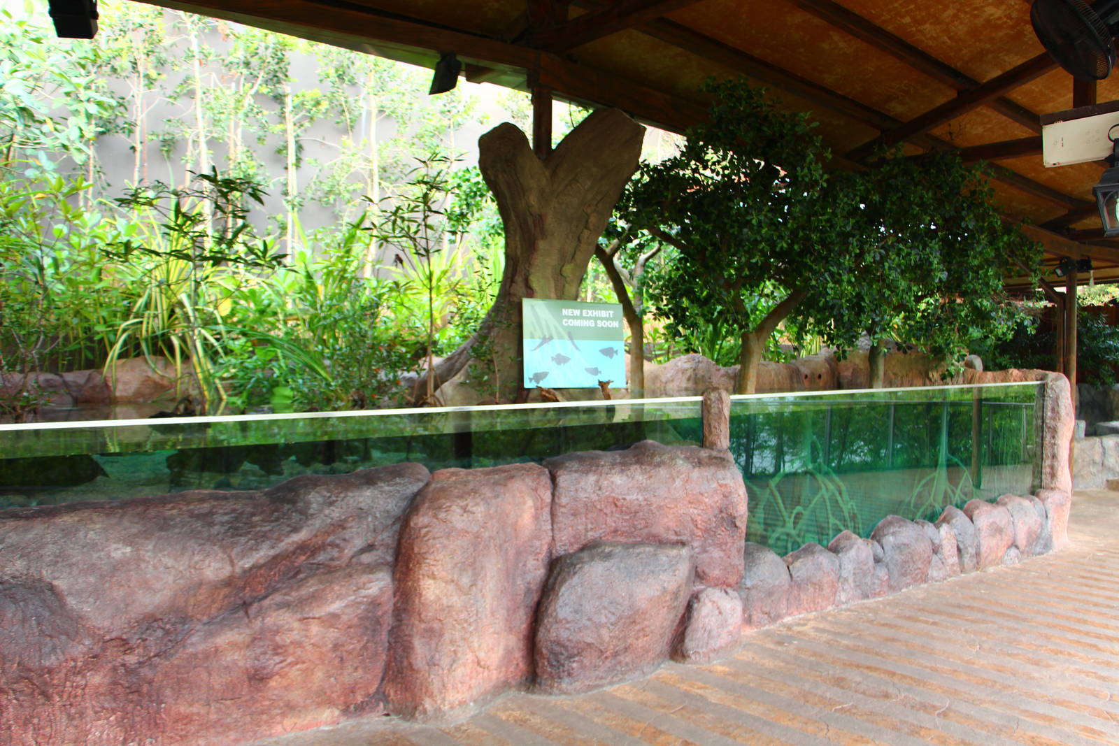 New Mangrove / Coastal display (opening end-2015)