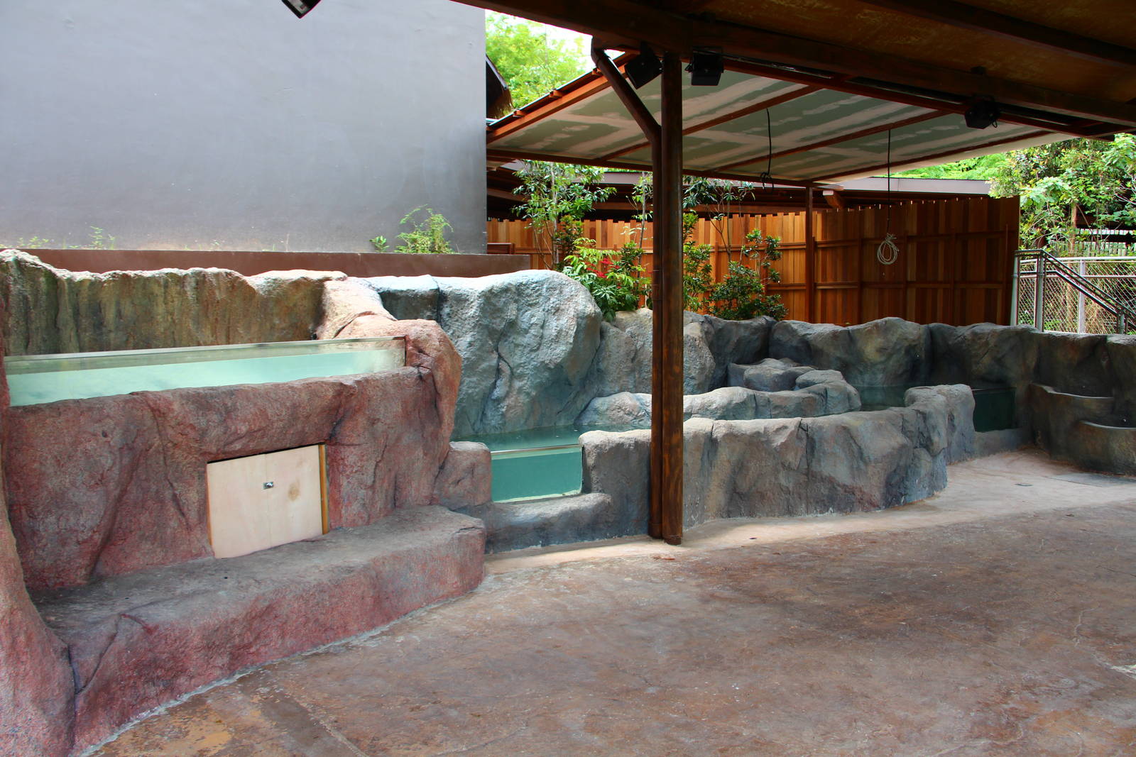 New Mangrove/Coastal Display (Under Construction)