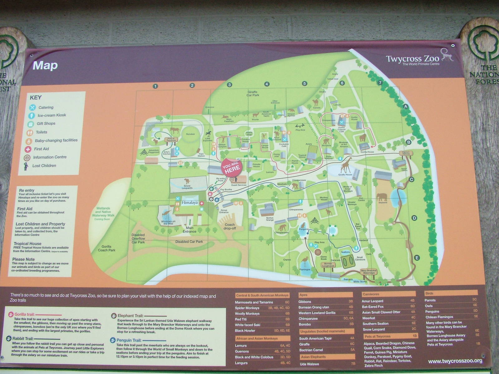 New Map at Twycross, 18/06/11