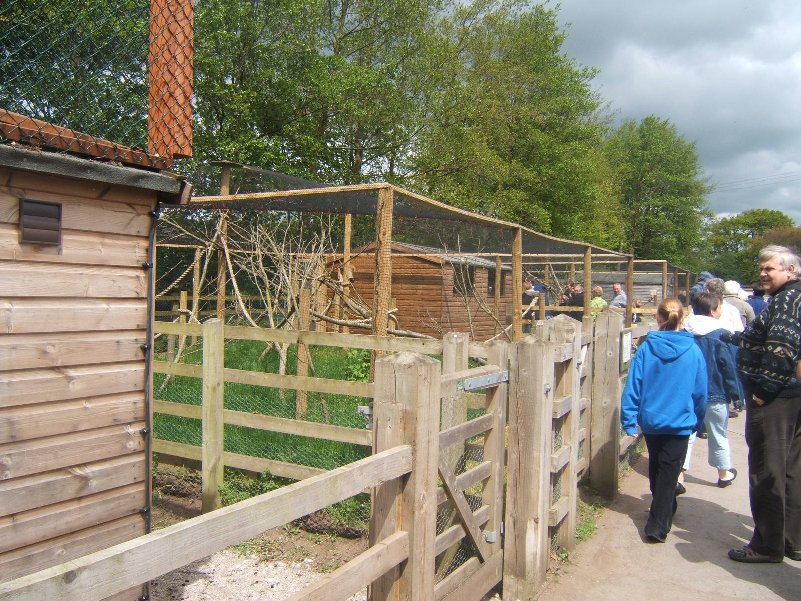 New Marmoset and Tamarin enclosures