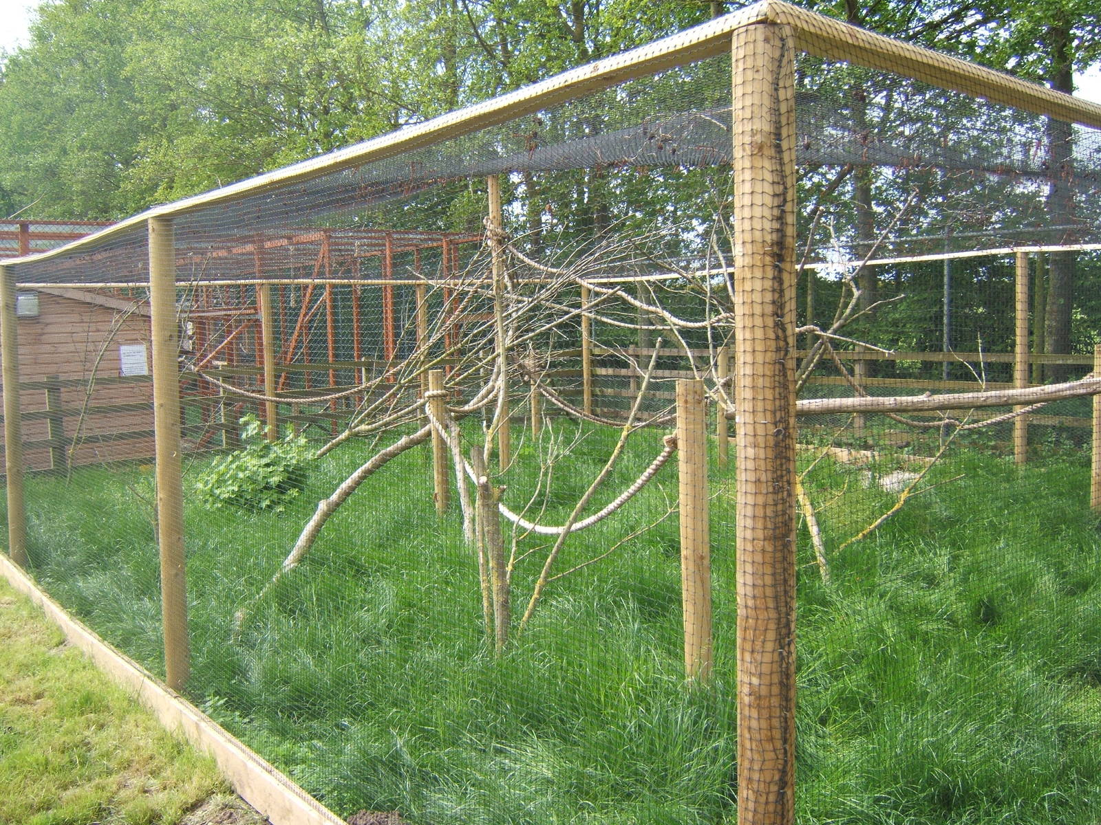 New Marmoset and Tamarin enclosures