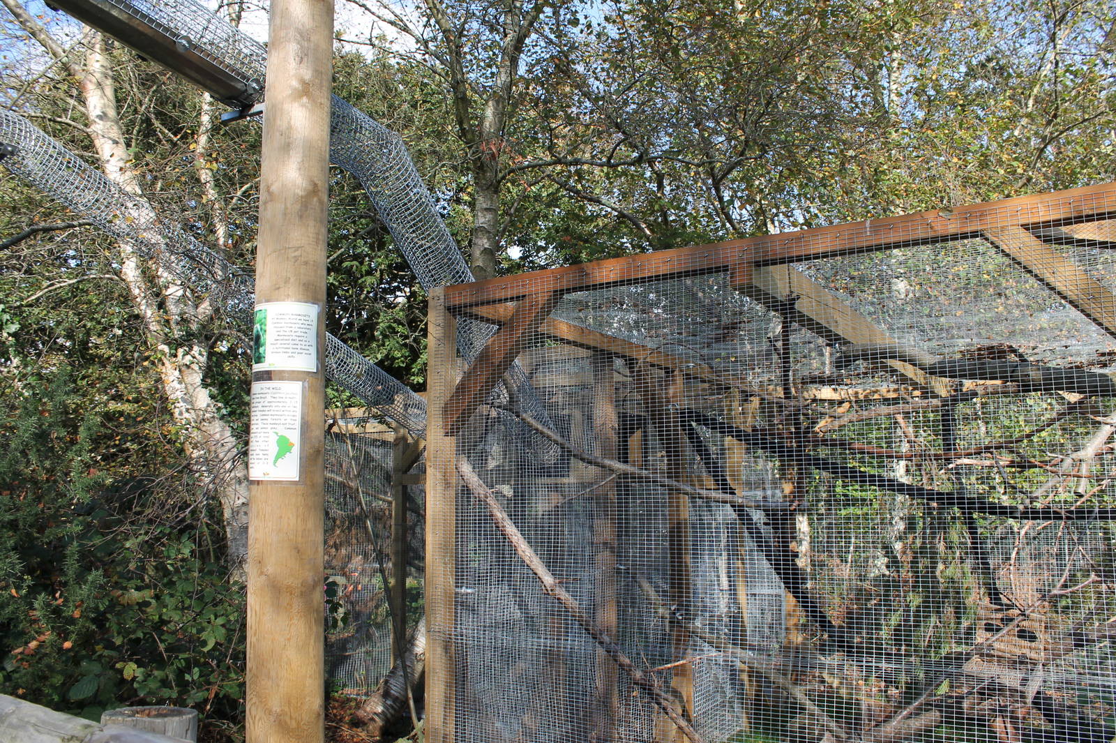 New Marmoset Complex