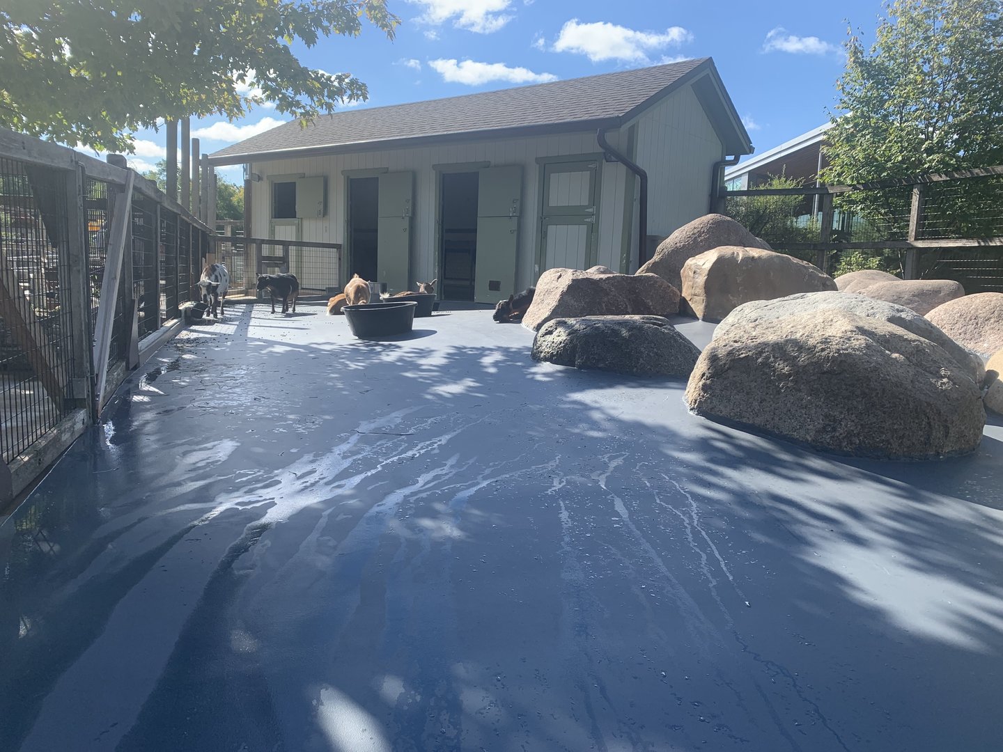 New matted flooring in one of the goat yards