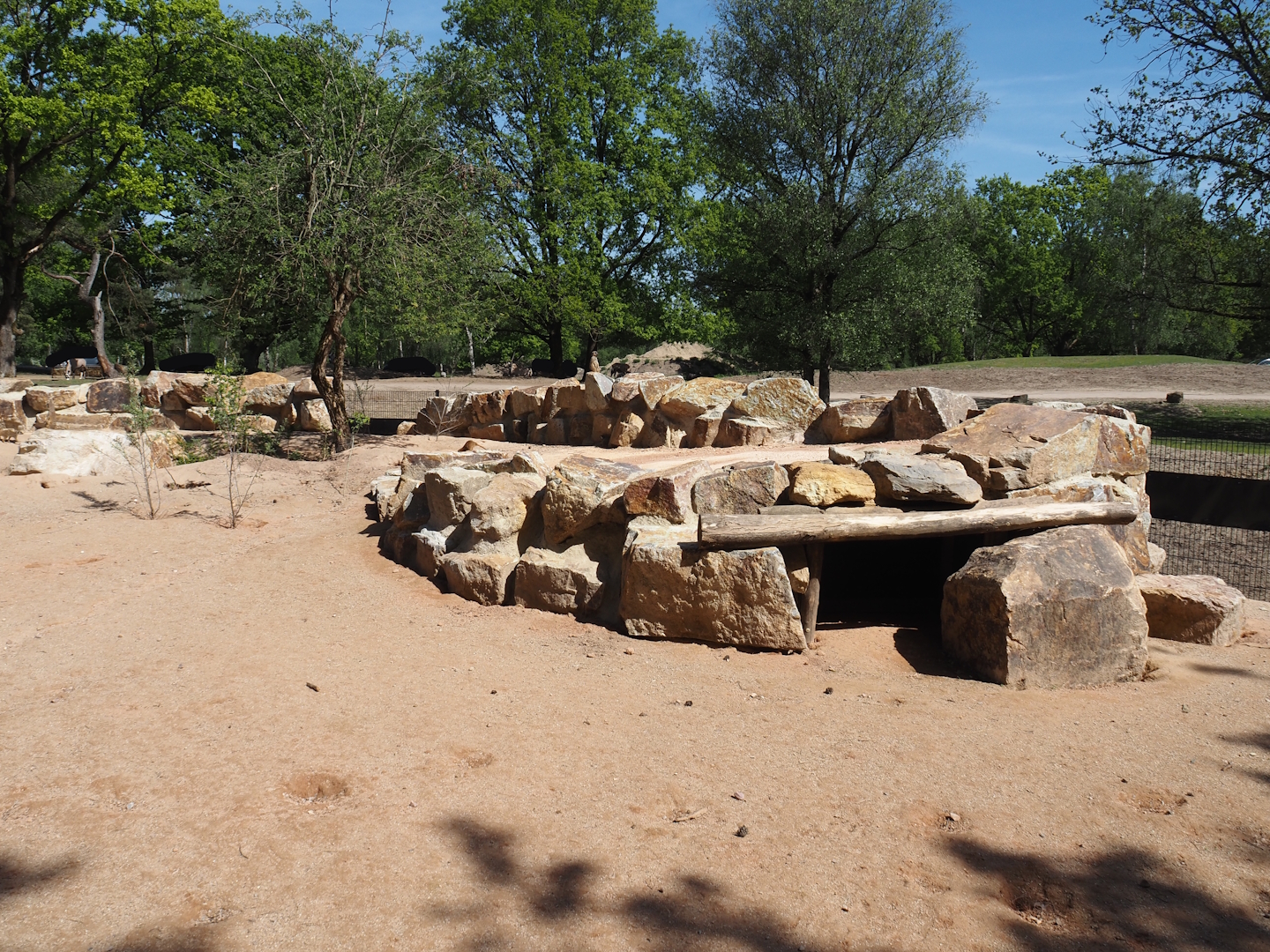 New Meerkat and South African bat-eared fox exhibit, with mixed savanna exhibit behind it, 2025-04-30
