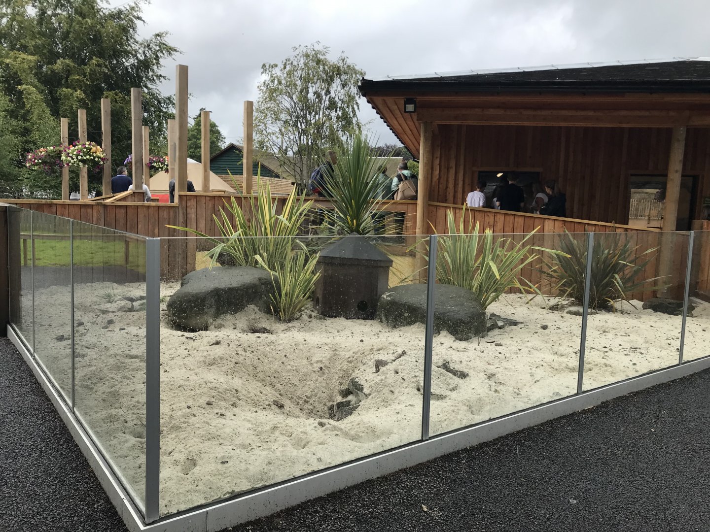 New meerkat enclosure (2)