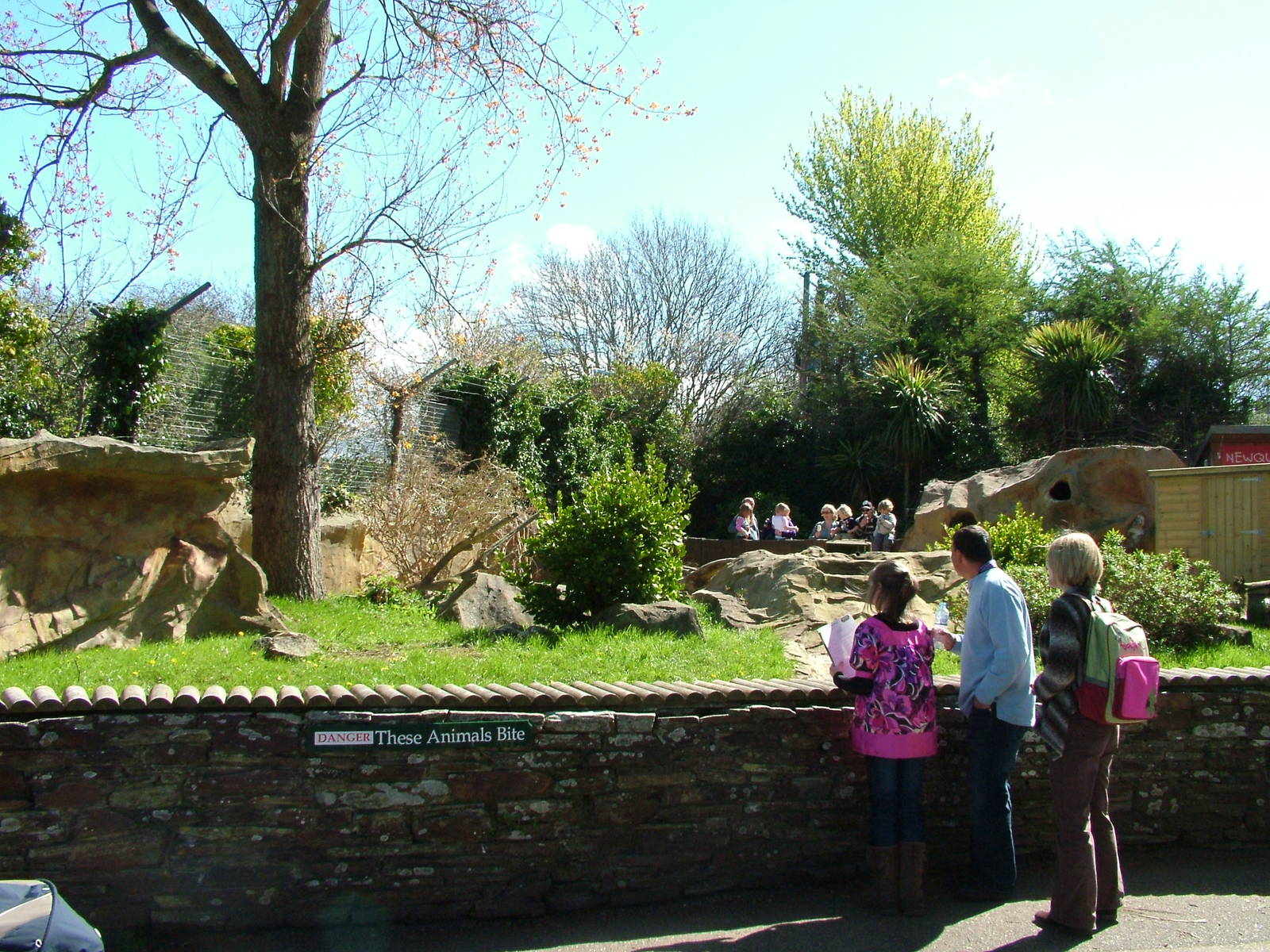New Meerkat enclosure at Newquay Zoo 11/04/09
