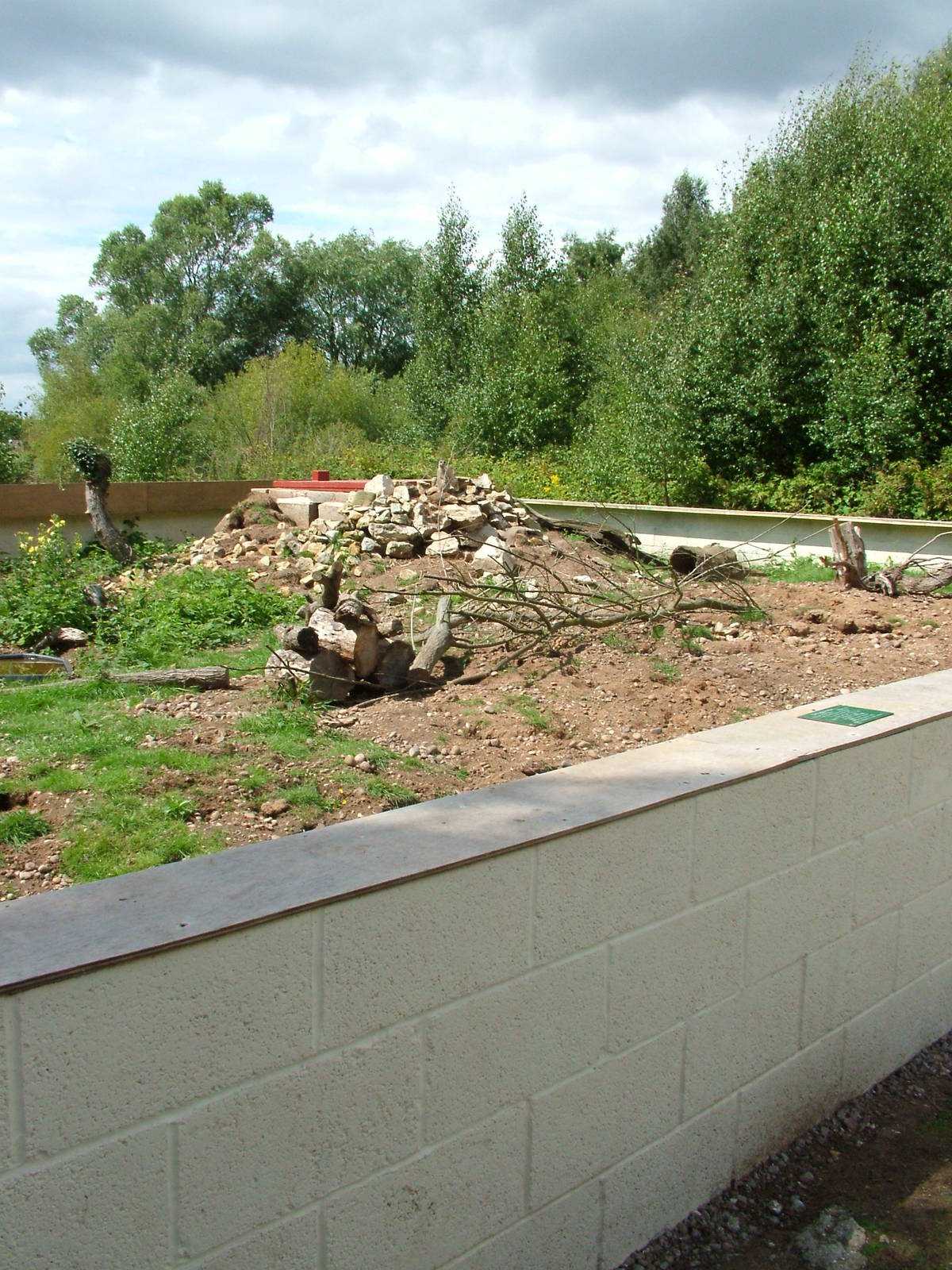 New meerkat enclosure at Wetlands WP 02/08/09