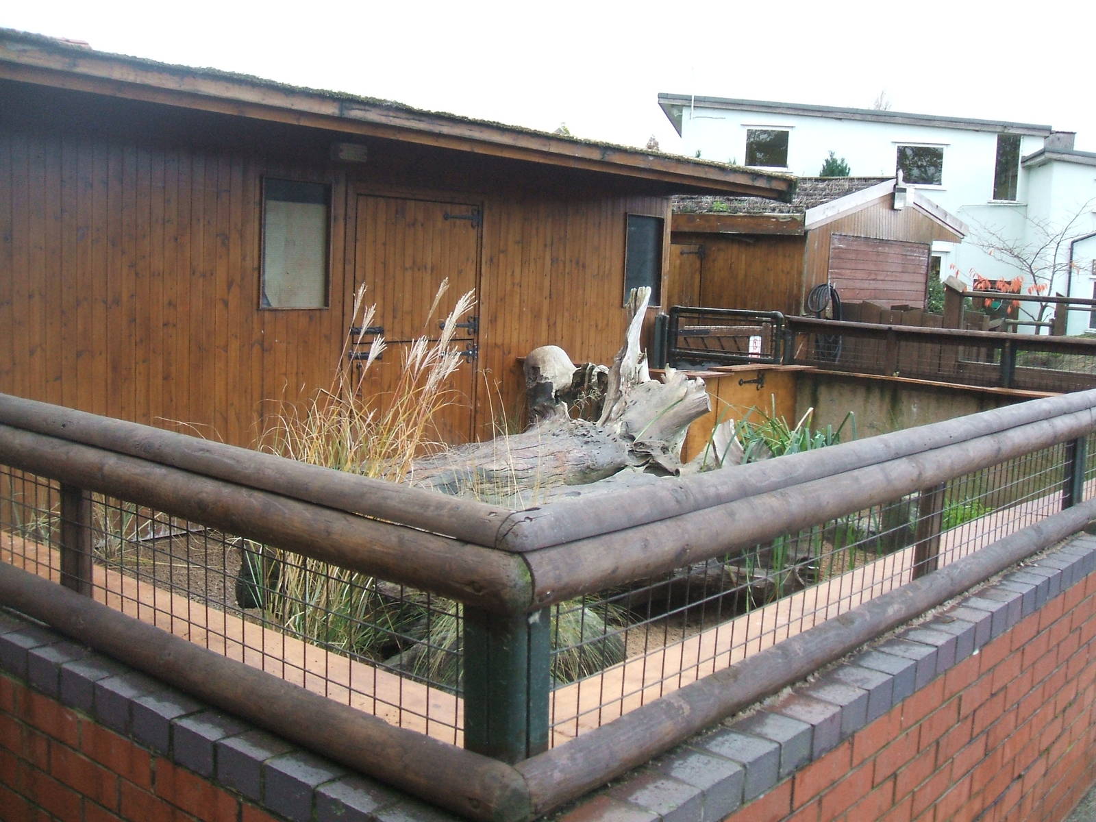 New Meerkat enclosure