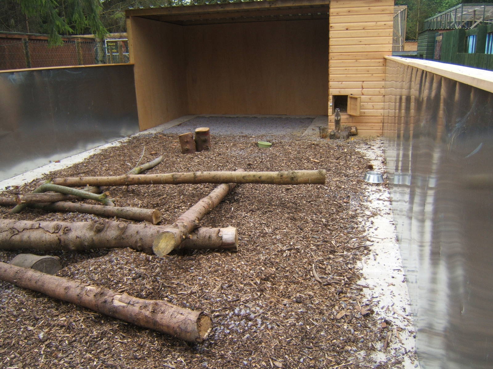 New Meerkat enclosure