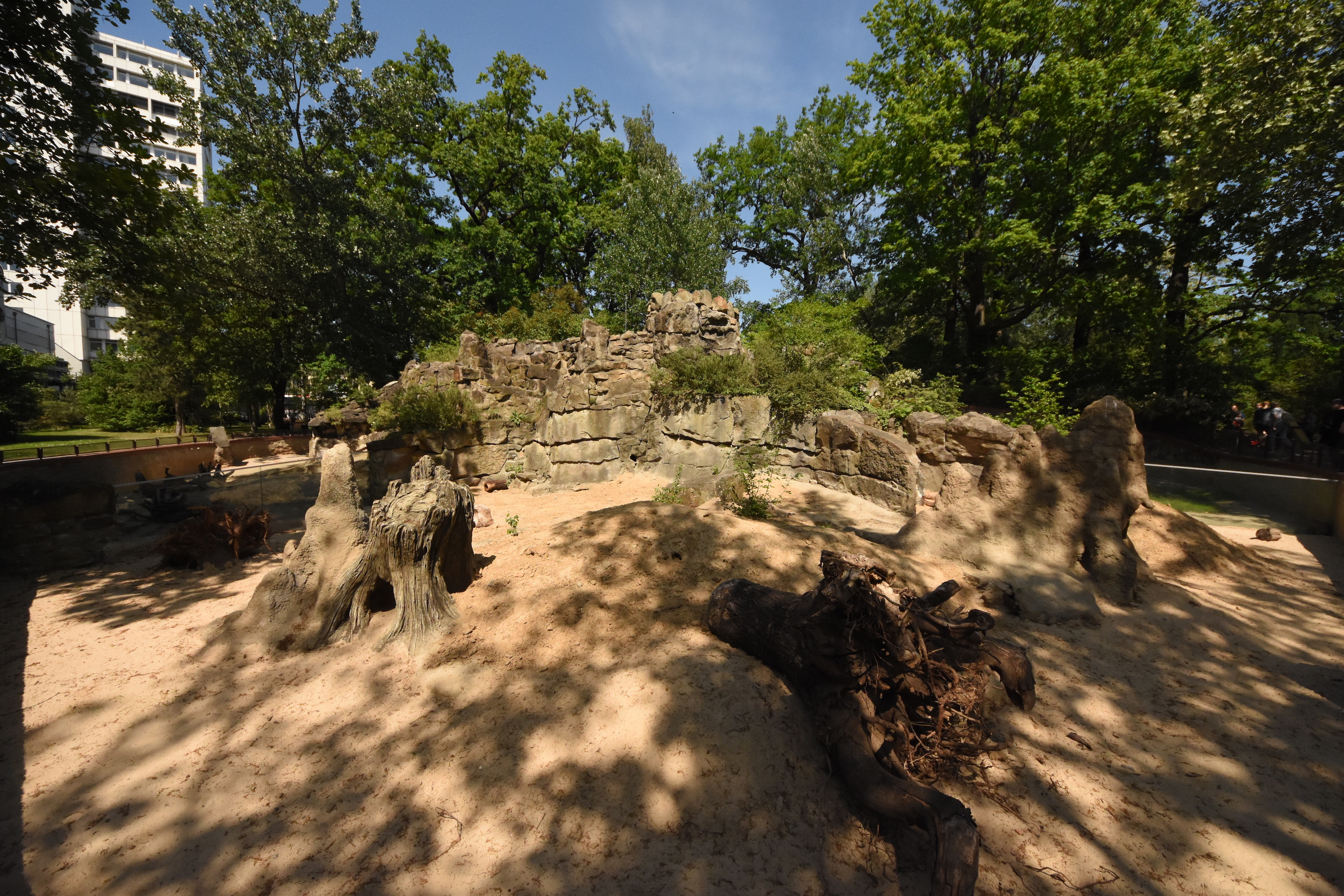New meerkat enclosure