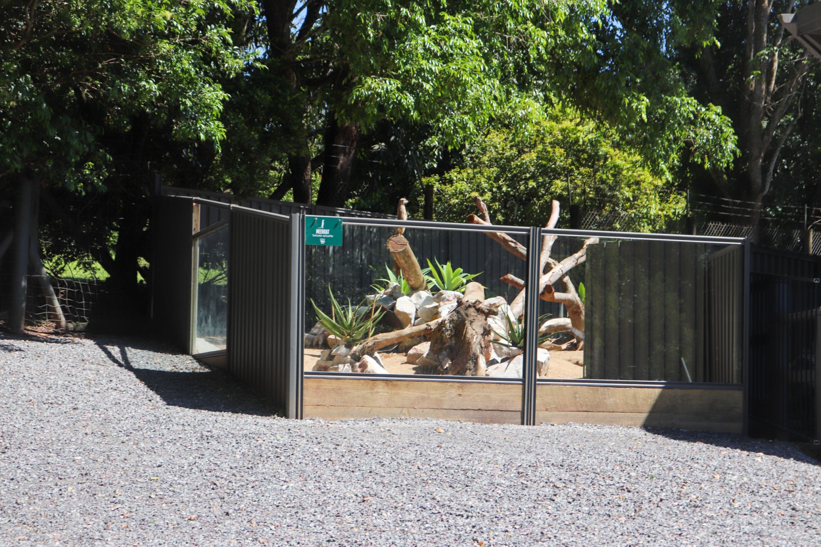 New Meerkat Enclosure