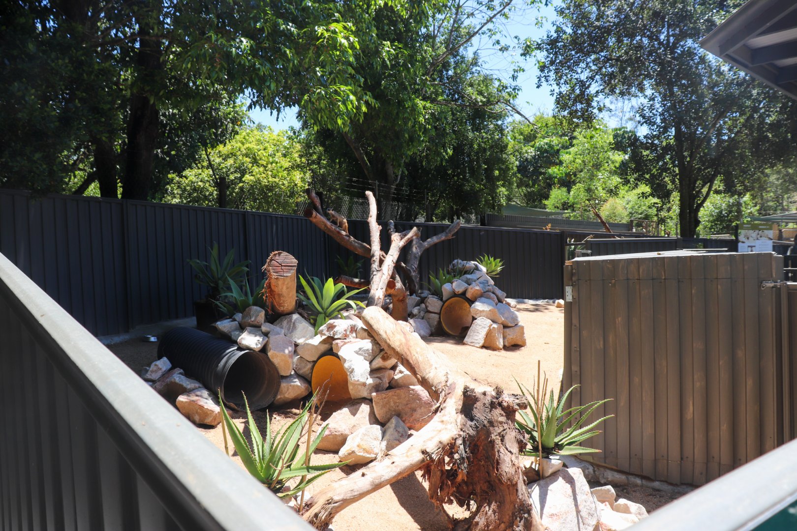 New Meerkat Enclosure