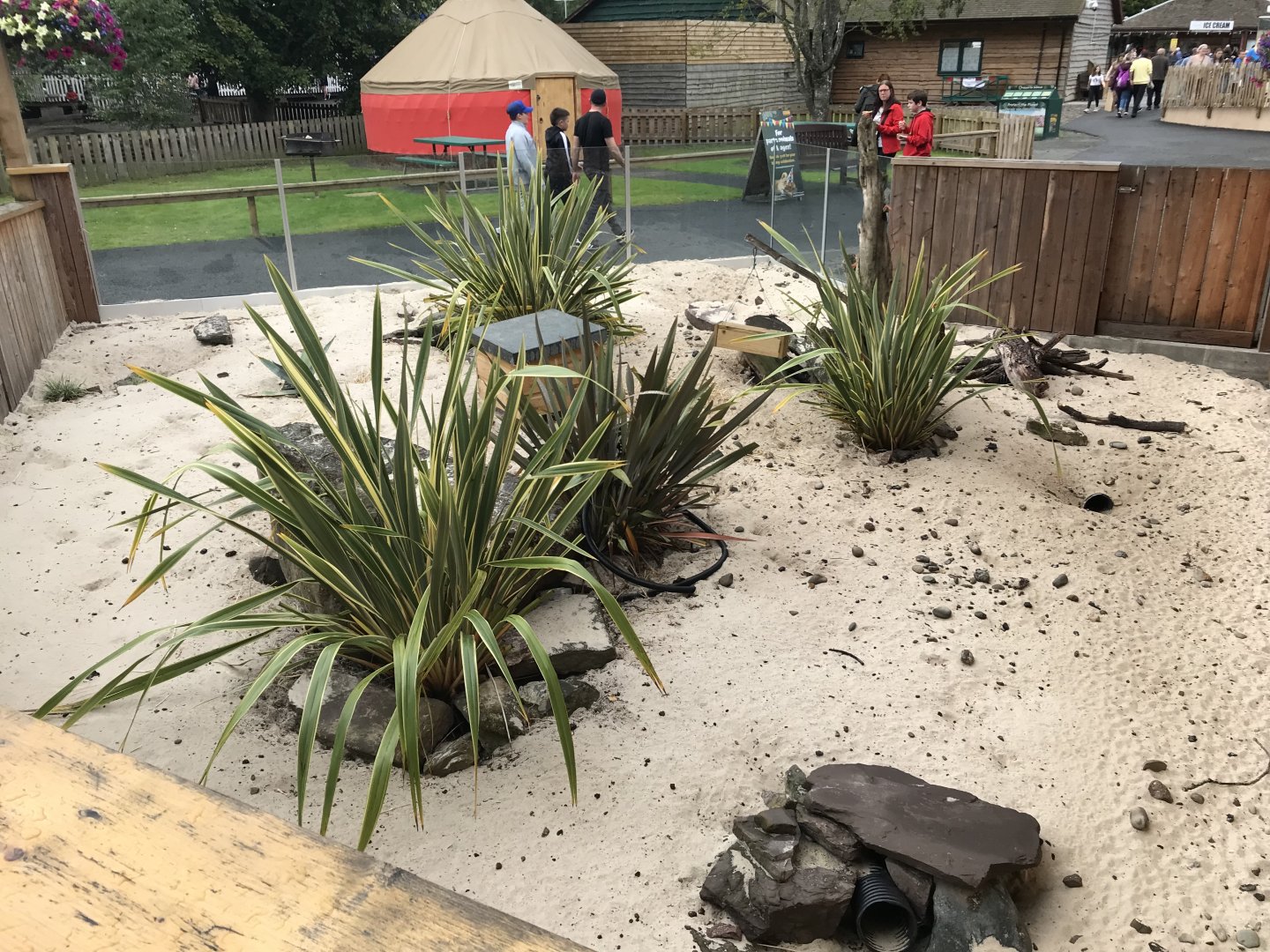 New meerkat enclosure