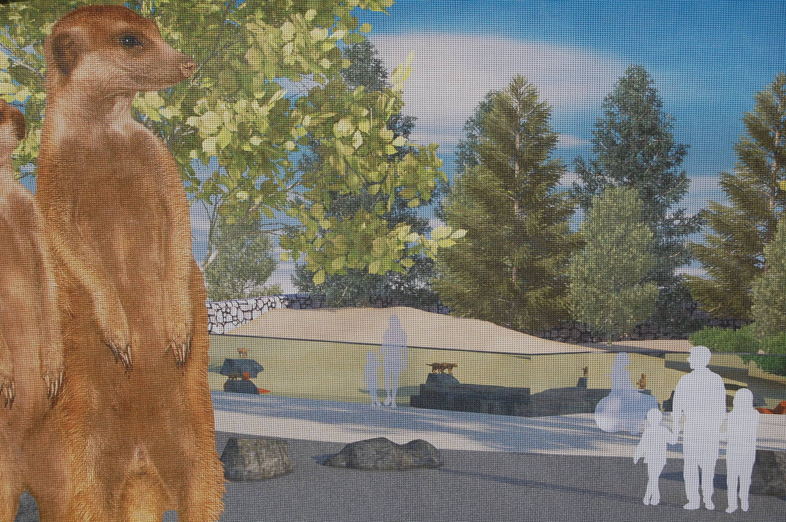 New Meerkat exhibit diagram