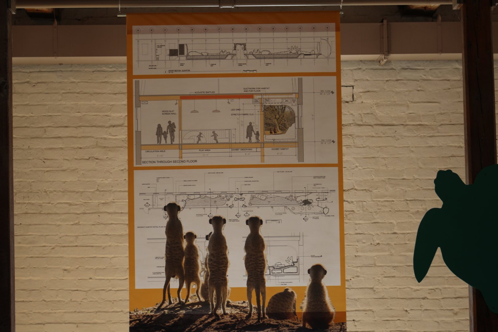 New Meerkat Exhibit Plans