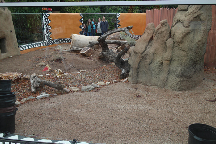 New meerkat exhibit (unoccupied)