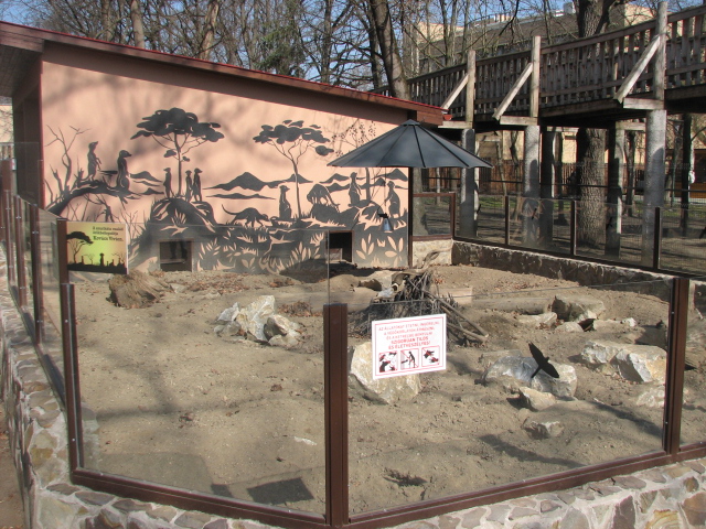 New Meerkat exhibit