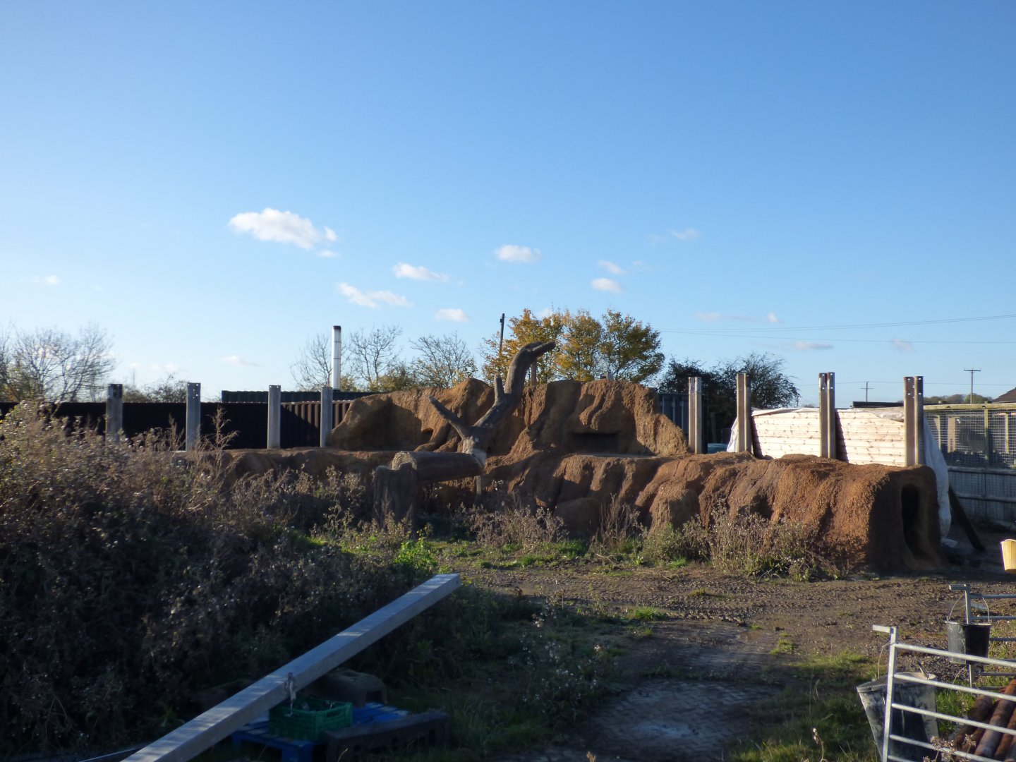 New 'Meerkat Mountain' Enclosure