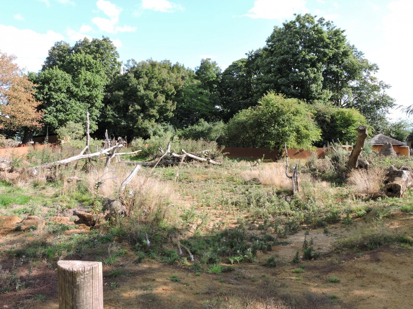 New Meerkat/Porcupine/Aardvark area