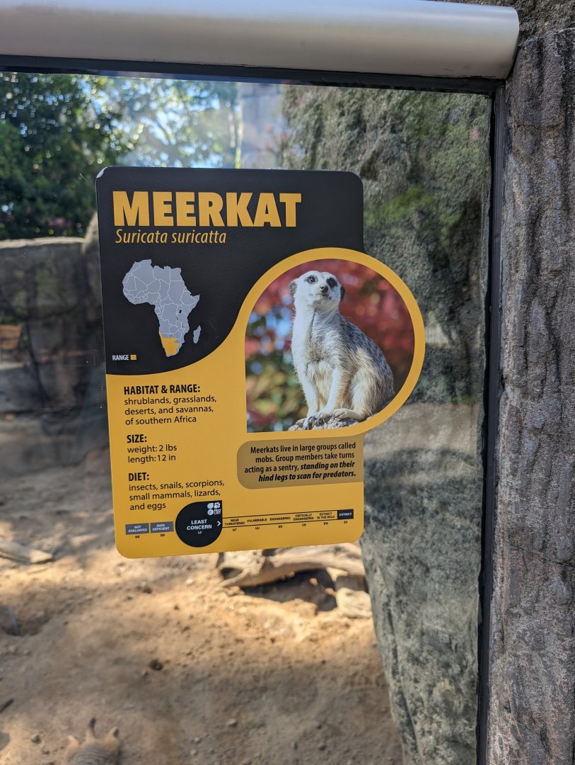 New Meerkat signage