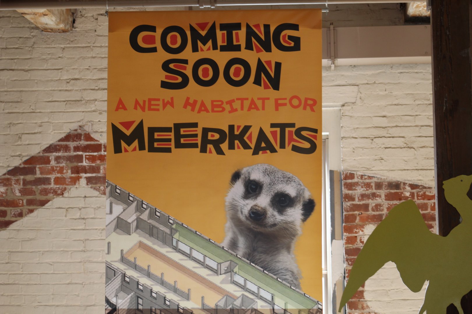 New Meerkats Exhibit Sign
