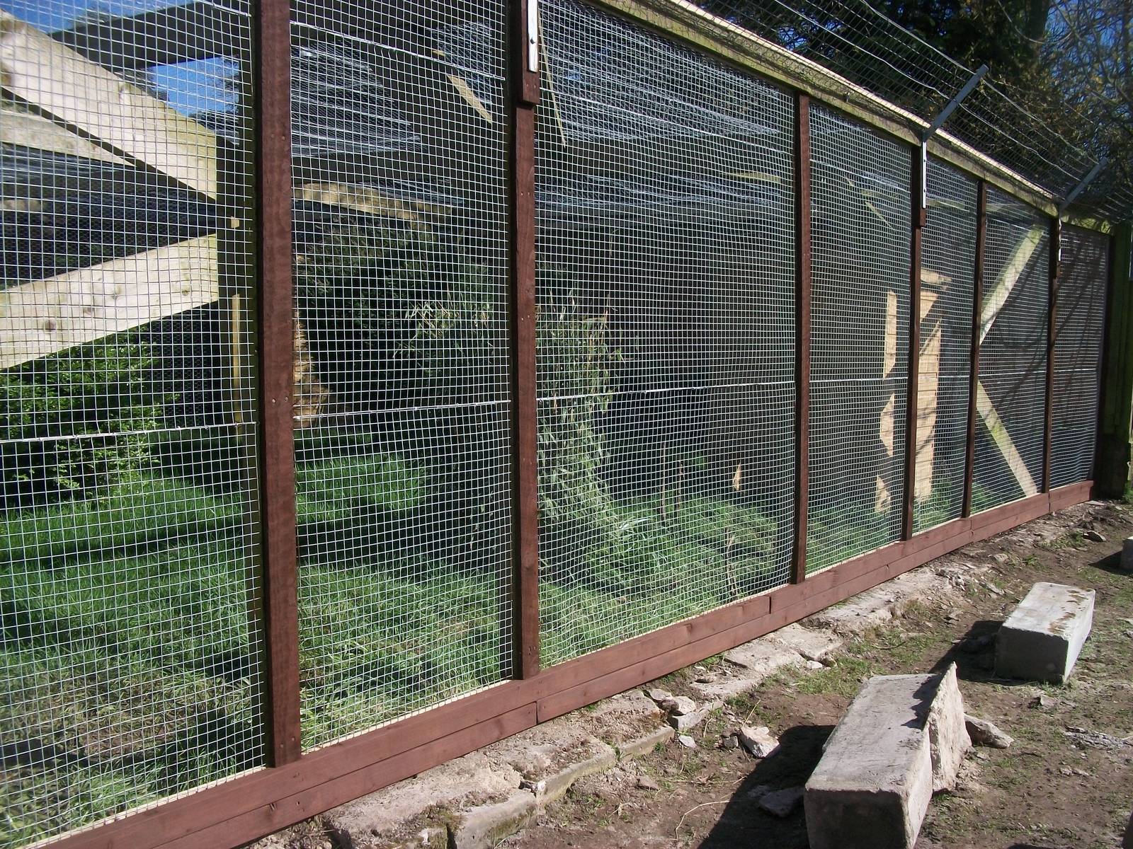 New mesh and wall removed at the end of the pheasant pens,11th April 2014