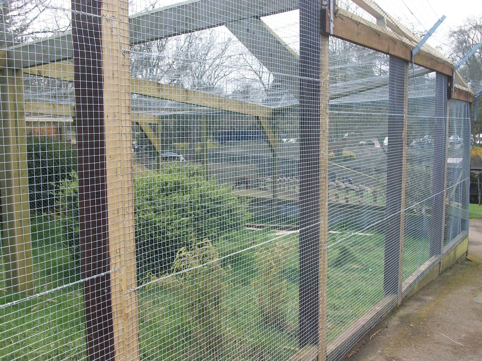 New mesh for the Pheasant pens, 23rd March 2014