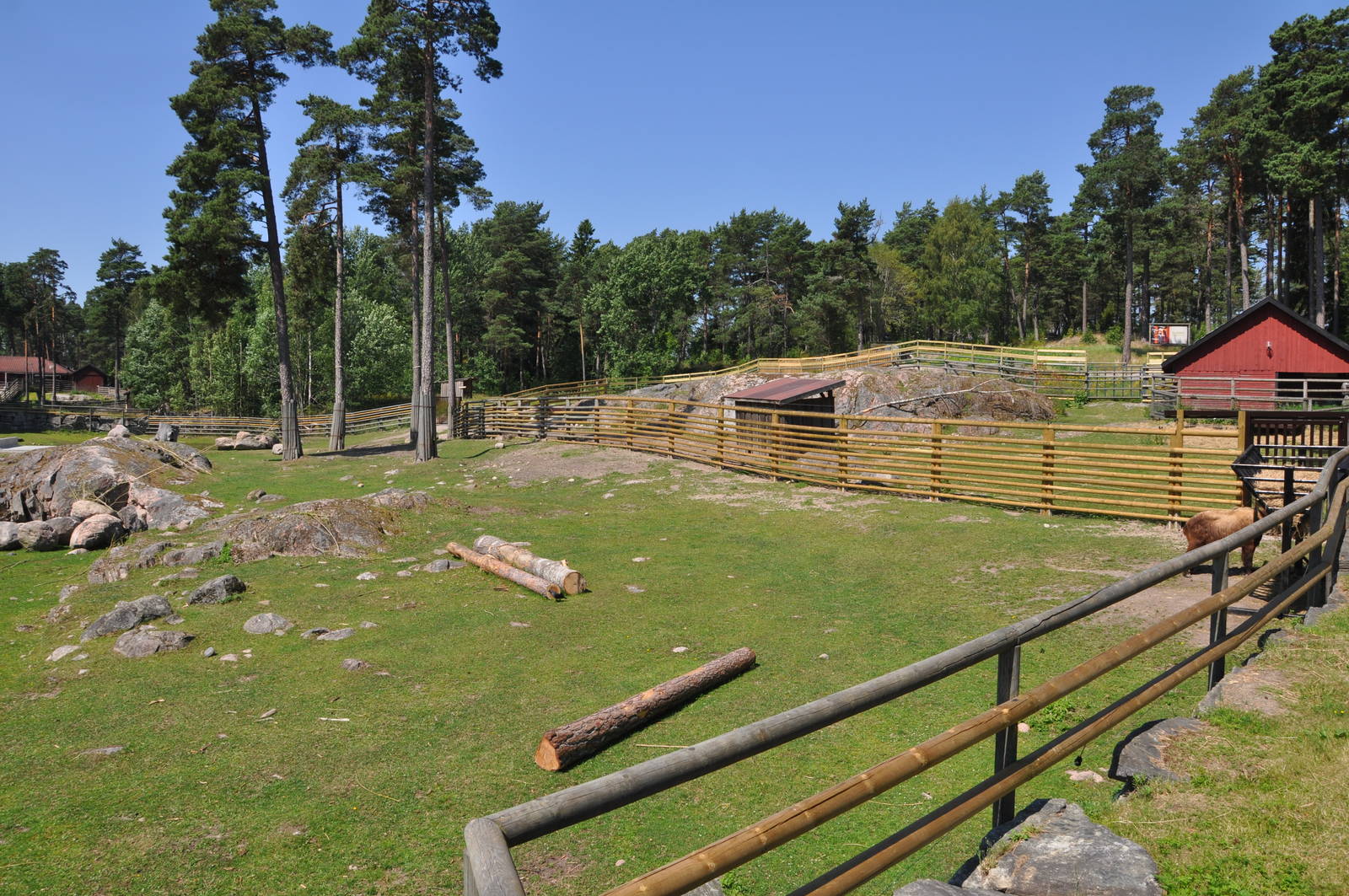 New mixed exhibit - Takin and Pere Davids Deer