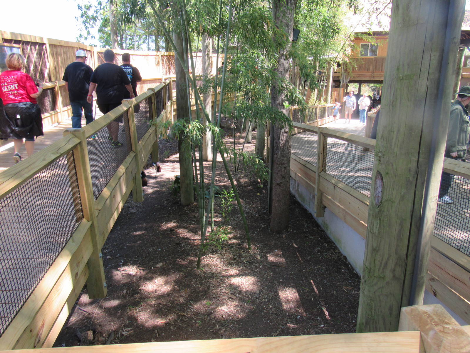 New Mixed-Species Bird Exhibit