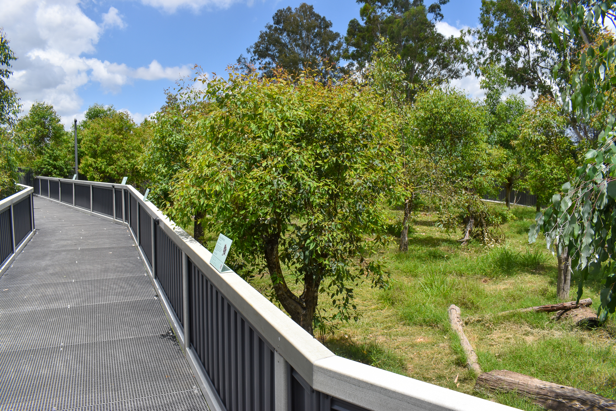 New Mixed Species Enclosure