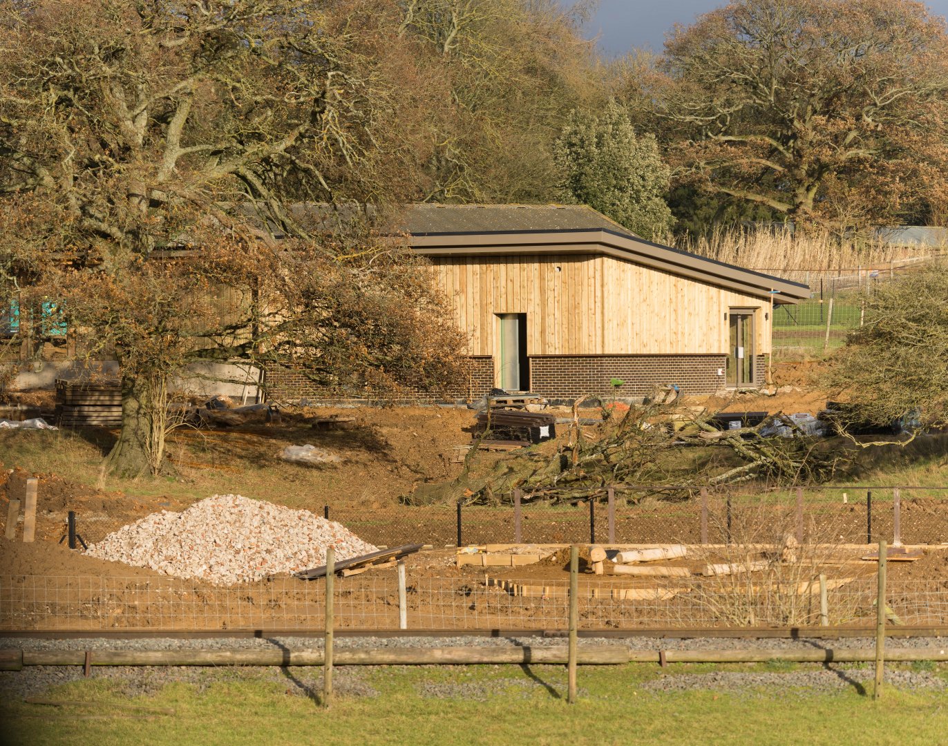 New monkey forest area, work in progress, ZSL Whipsnade, UK
