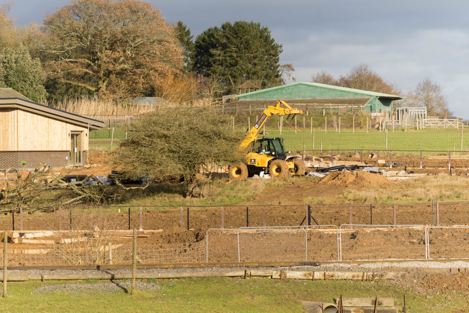 New monkey forest area, work in progress, ZSL Whipsnade, UK