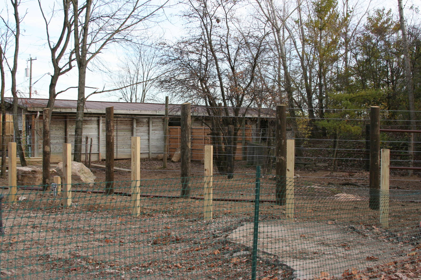 New Moose Holding Yard