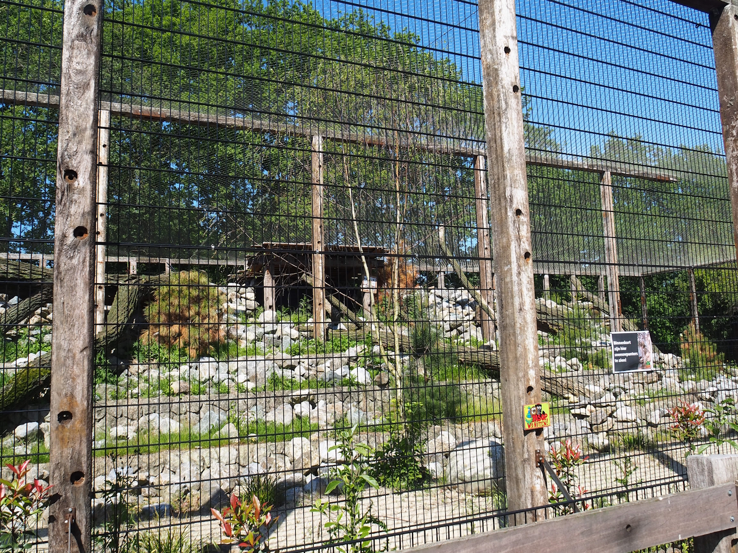 New mountain animal area - Recently finished larger snow leopard exhibit, 2023-05-31