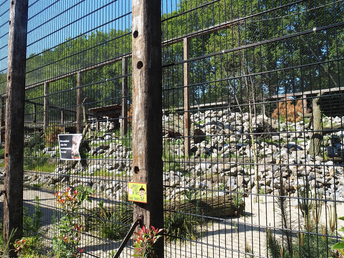 New mountain animal area - Recently finished larger snow leopard exhibit, 2023-05-31