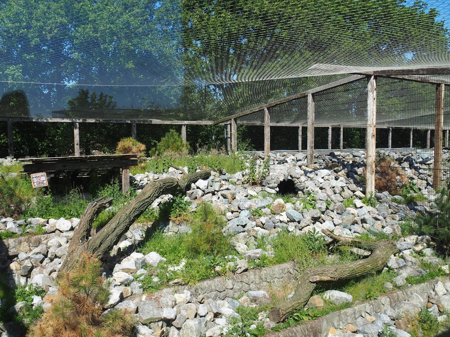 New mountain animal area - Recently finished smaller snow leopard exhibit, 2023-05-31