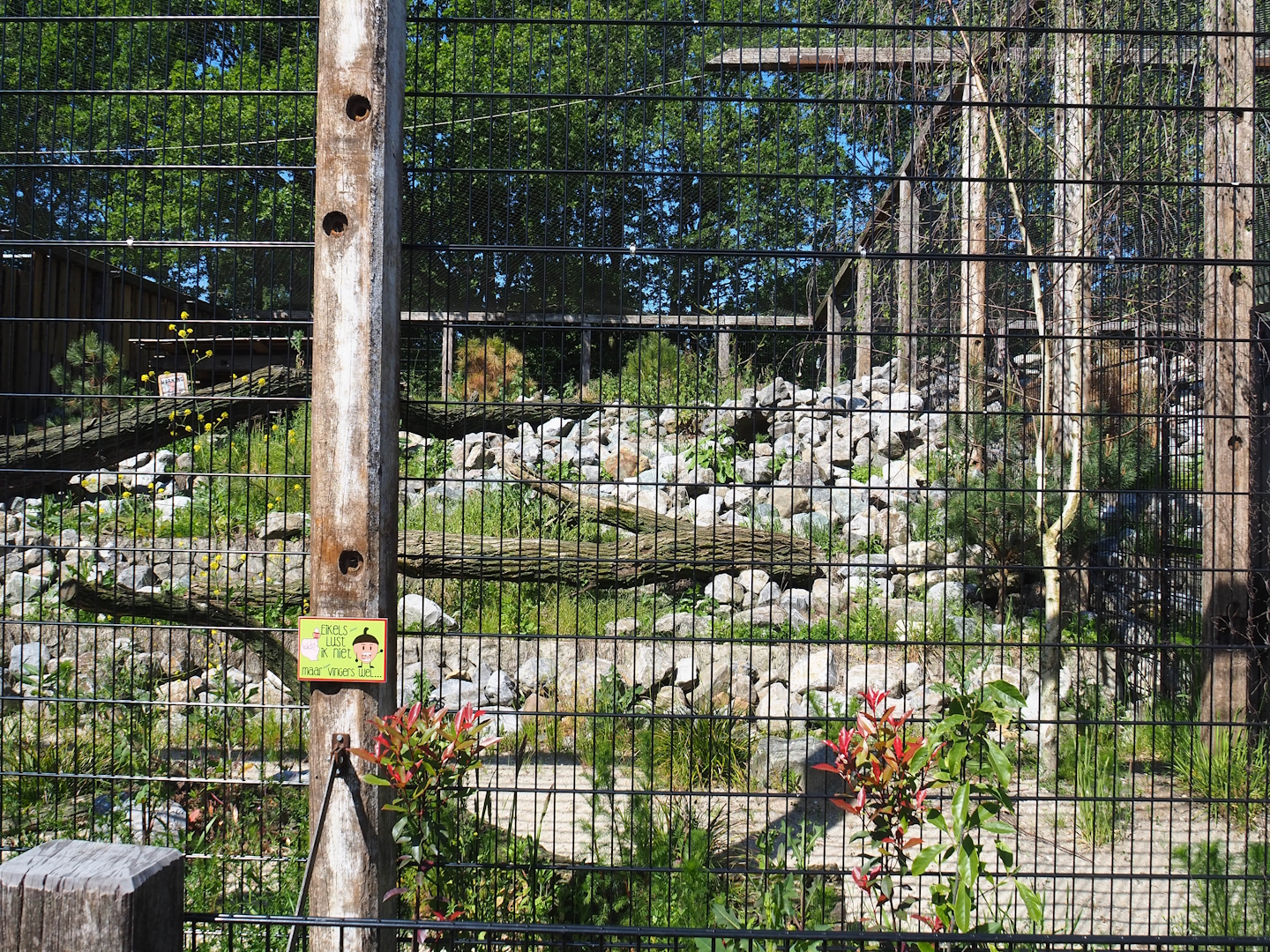 New mountain animal area - Recently finished smaller snow leopard exhibit, 2023-05-31