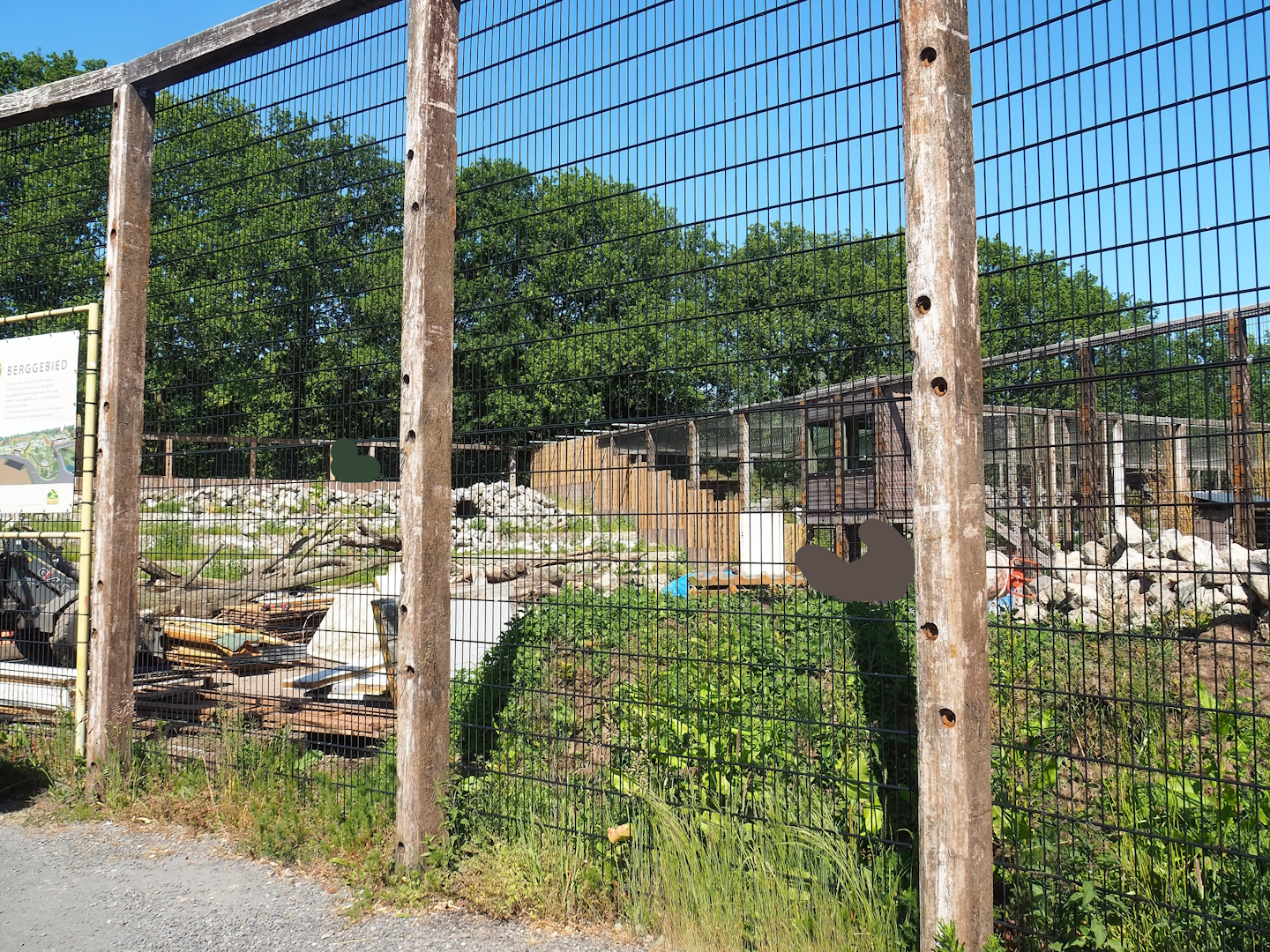 New mountain animal area - Rocky Mountain goat exhibit under construction (Since finished), 2023-05-31