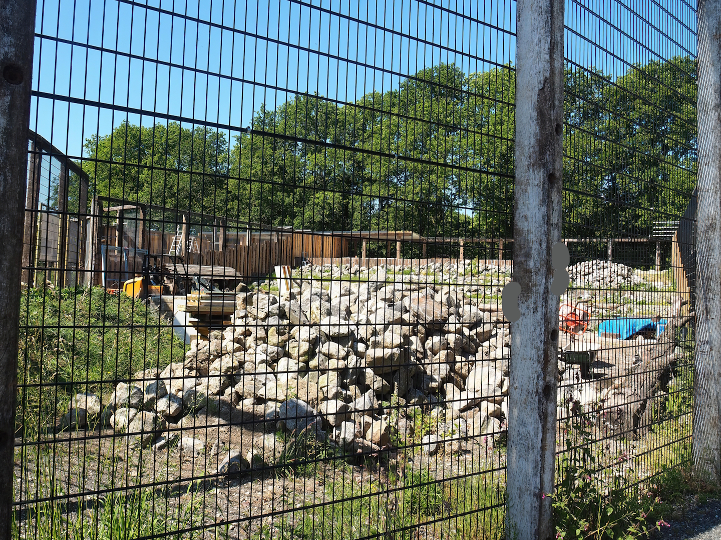 New mountain animal area - Rocky Mountain goat exhibit under construction (Since finished), 2023-05-31