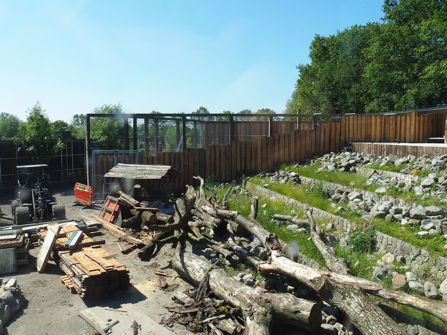 New mountain animal area - Rocky Mountain goat exhibit under construction (Since finished), 2023-05-31