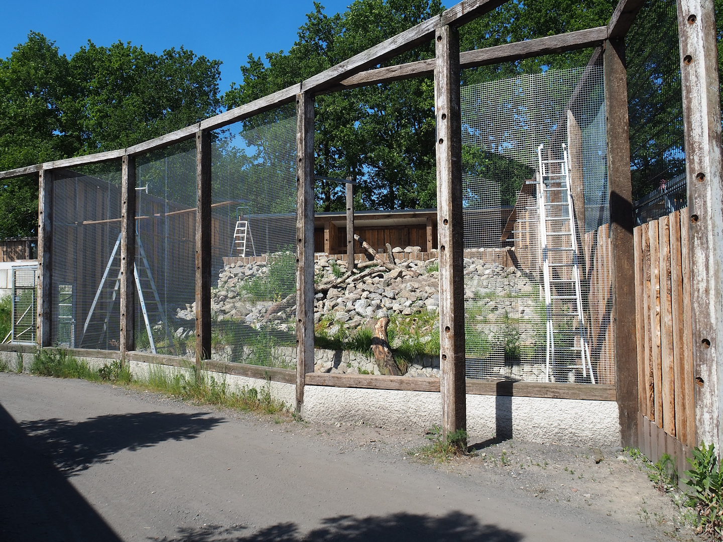 New mountain animal area under construction - Future Bearded vulture aviary, 2023-05-31