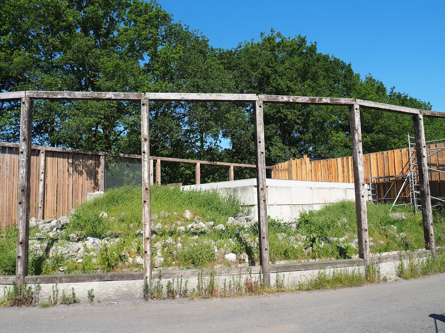 New mountain animal area under construction - Future Kea aviary, 2023-05-31