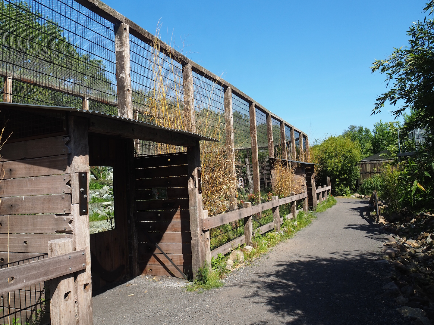 New mountain animal area - Walkway and snow leopard viewing areas, 2023-05-31